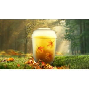 Biodegradable Cremation Ashes Funeral Urn / Casket - AUTUMN LEAVES